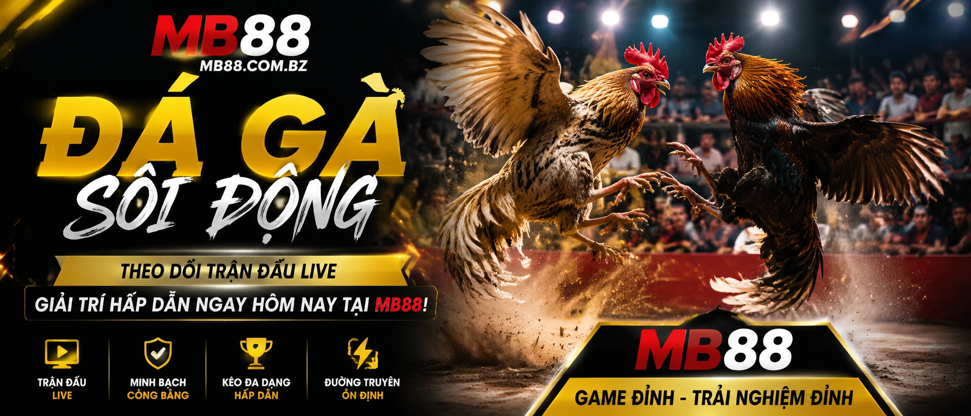 Live Đá Gà Thomo