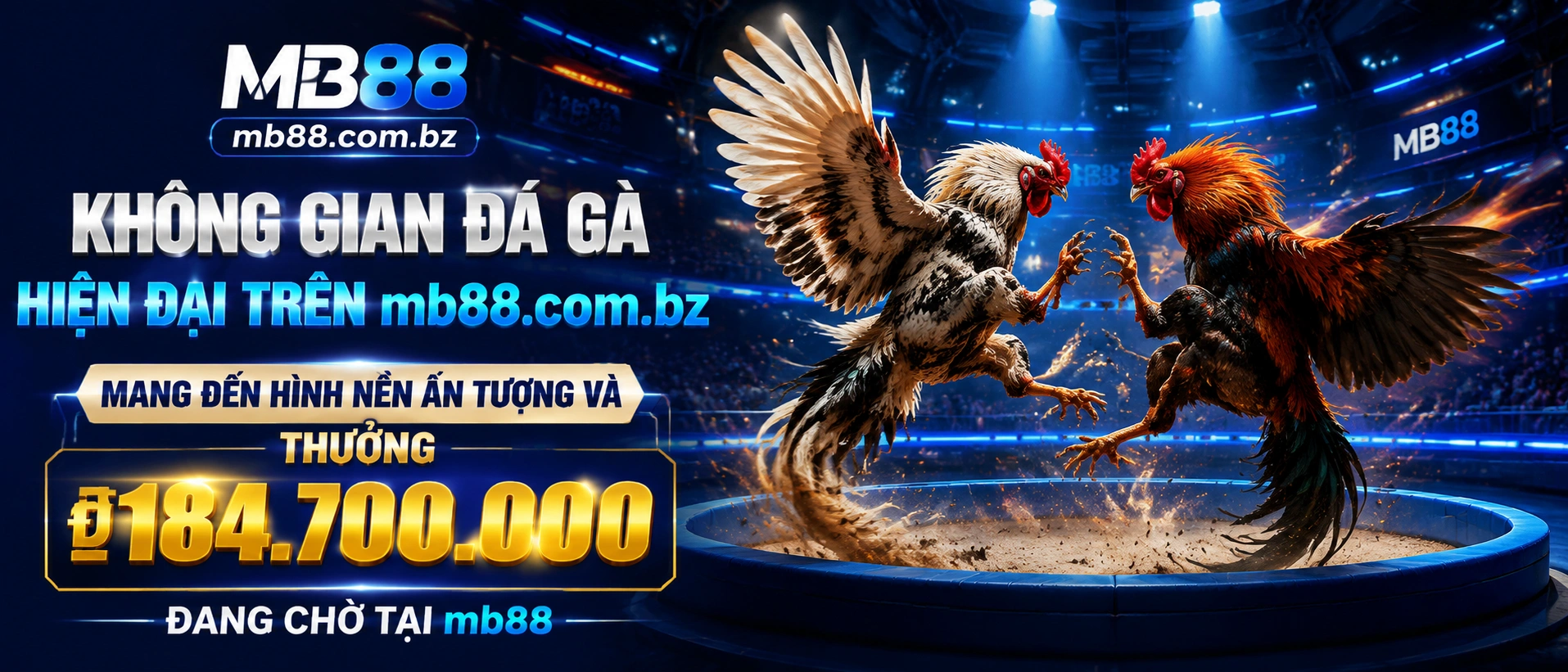 Đá Gà Thomo live